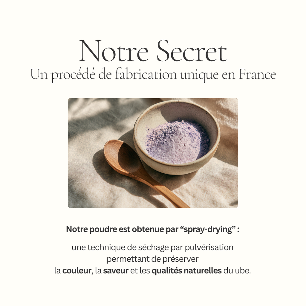 Bol de poudre d’ube avec cuillère en bois accompagné d’un texte expliquant la méthode premium de séchage par pulvérisation utilisée par Seven Taste.
